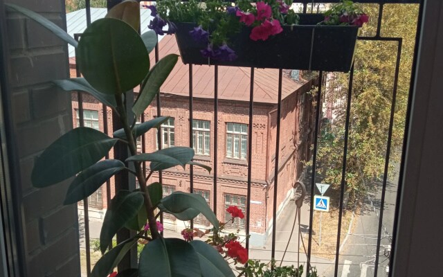 Квартира в Центре
