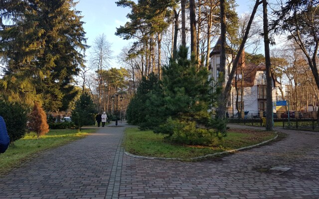Апартаменты Svetlogorsk