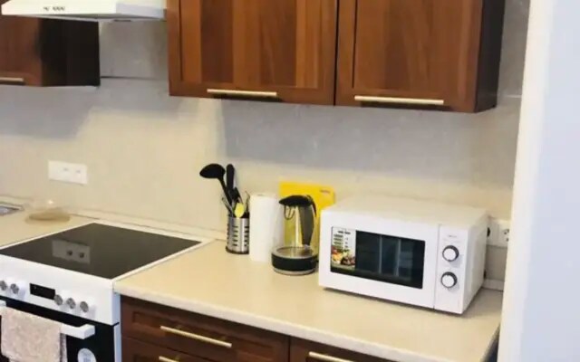 Апартаменты с видом на Неву