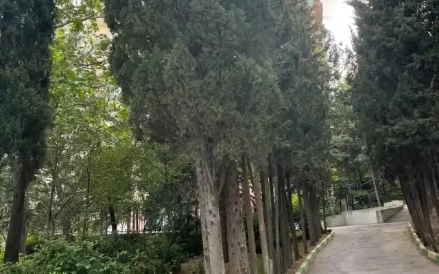 Квартира с видом на море