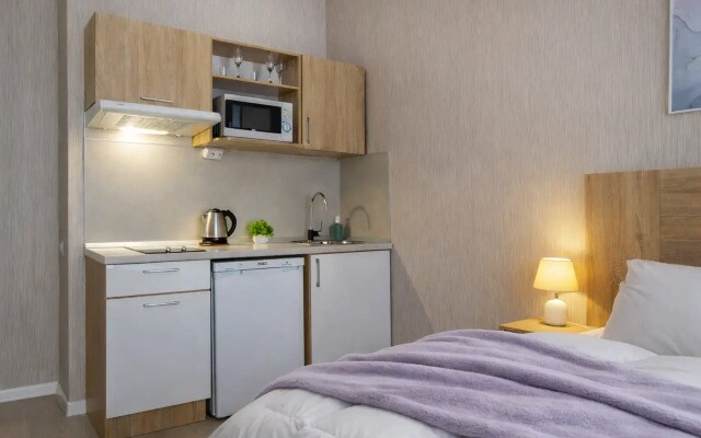 Апартаменты Студия Natalie Apartments Пулковское шоссе 14с6