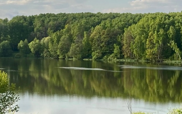 Шале VillaBitsa