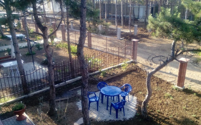 Aleksiya Guest House