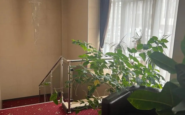 Отель City Hotel