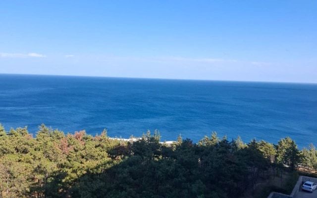Квартира видовая с бассеном