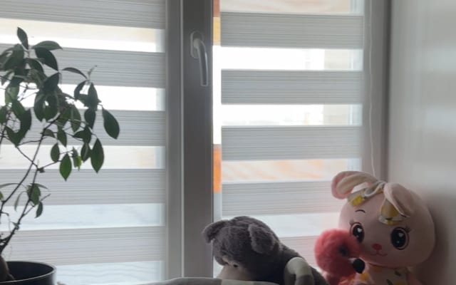 Частный дом Закуток