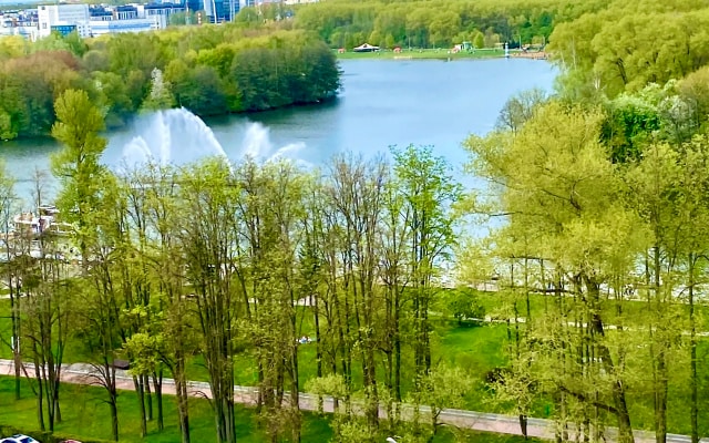 Двухкомнатная квартира в центре города с видом на парк Победы