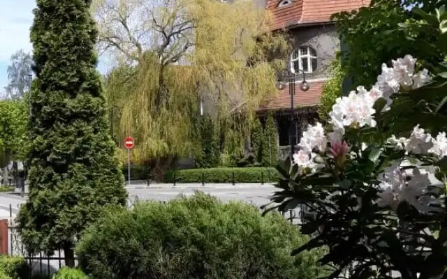 Апартаменты в Сердце Светлогорска