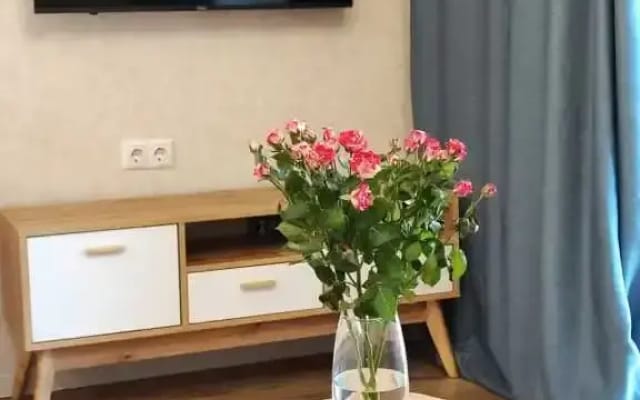 Квартира Жукова 17