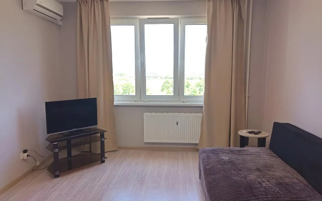 Квартира 1к на Пустошкина 22 (64)
