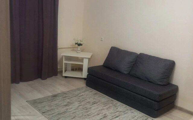 Квартира 1К Аэропорт