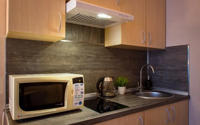 Апартаменты Студия Natalie Apartments Пулковское шоссе 14 Е (16)