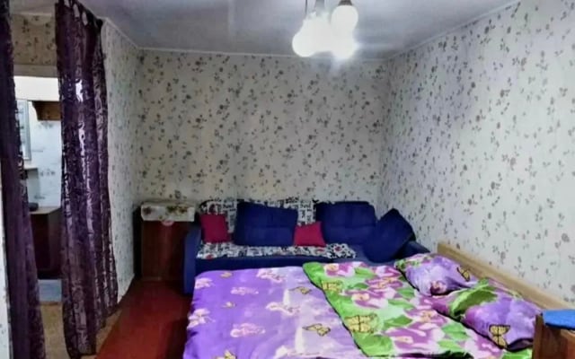 Квартира Бабушкин Вариант
