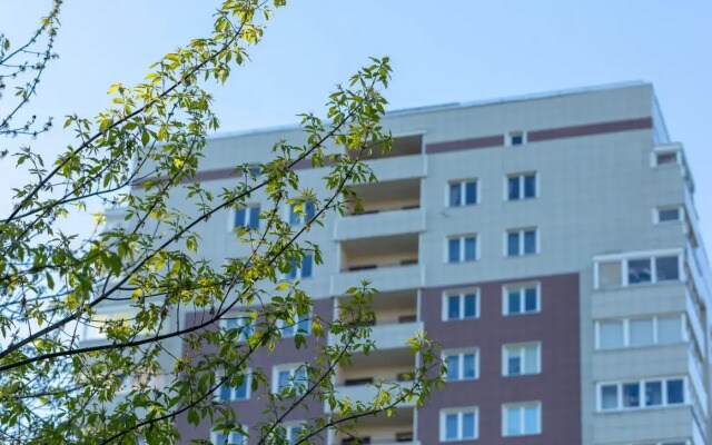 Квартира Панорама