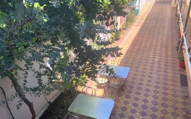 Гостевой дом Дельфинчик