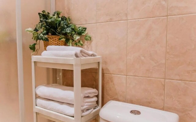 AG-Apart Vladimirskiy Apartments
