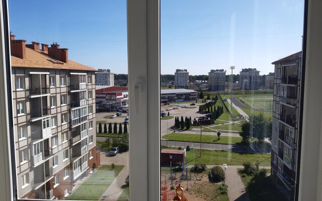 Квартира Золотой жук