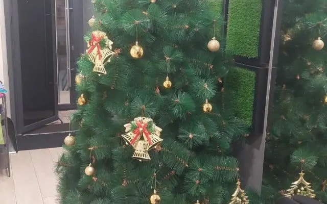 Мини-отель Green Hotel