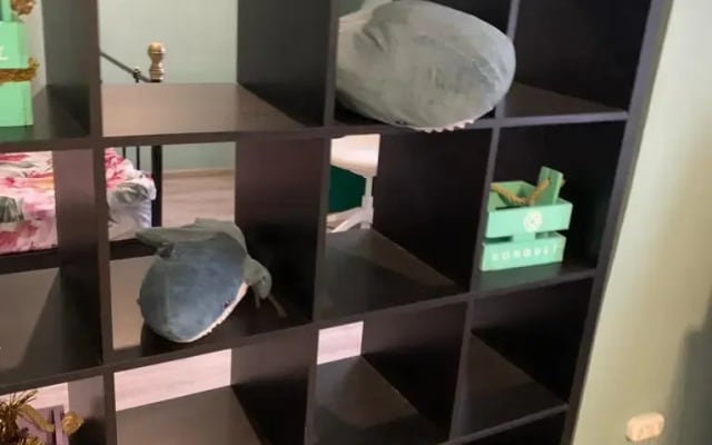 Квартира на ул Заречная 5