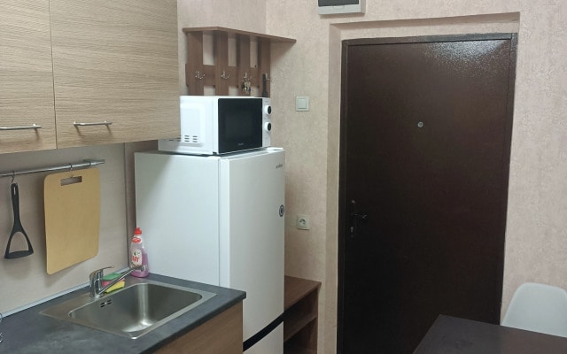 Квартира Студия у парка