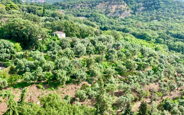 Апартаменты Морской Бриз Никита
