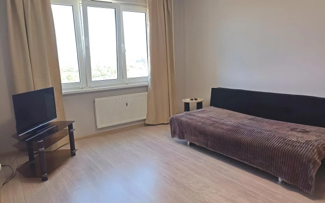 Квартира 1к на Пустошкина 22 (64)