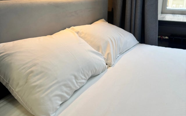 Апартаменты Люкс Hotel-style в Центре СПб Резиденция Чеховъ