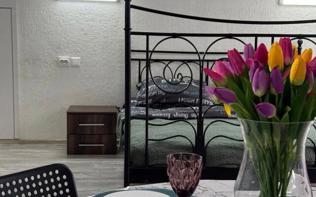Квартира Loft near Tatneftarena