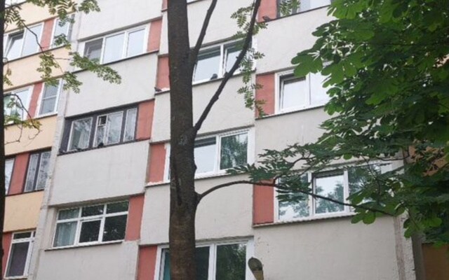 Квартира на проспекте Испытателей 15/1