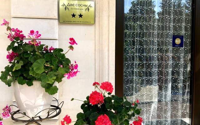 Гостевой дом Две Сосны