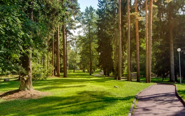 Отель Репино Парк