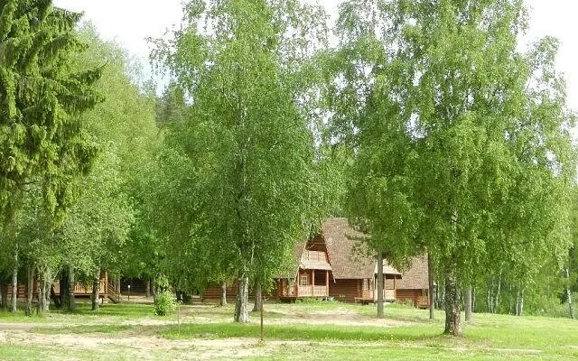 Отель Берендеевка