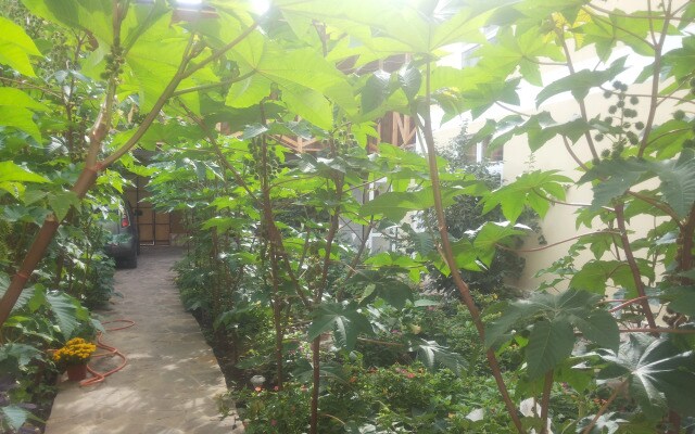 Rusalka Guest House