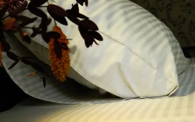 Меблированные комнаты у горы Сосновки