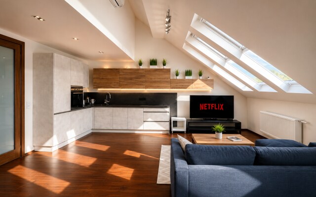 Апартаменты Loft
