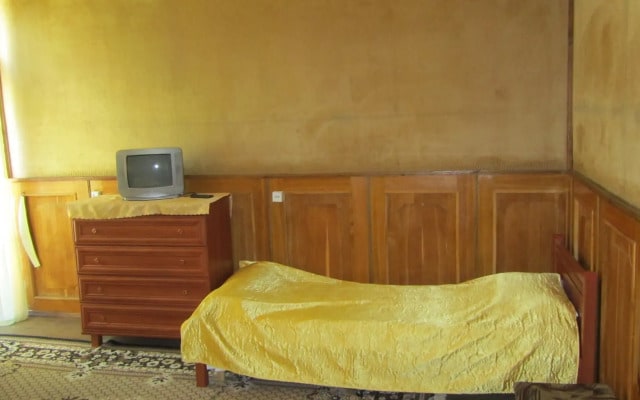 Drevo Zdorovya Inn