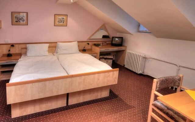 Hotel Krivan