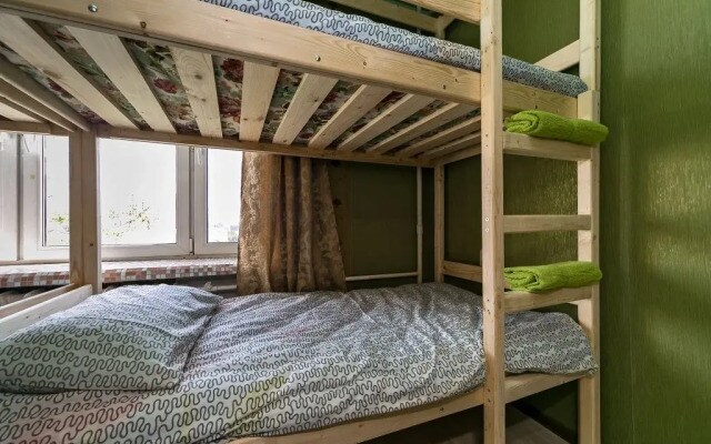 Crazy Monkey Hostel next to the Moscow Zoo