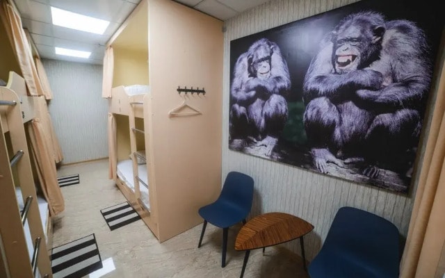 Hostel Selezneva