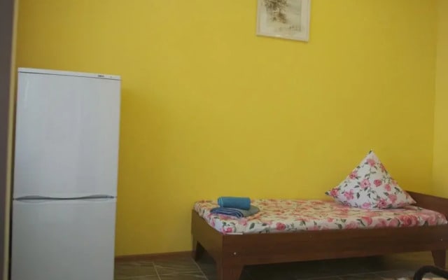 Druzhba Guest House