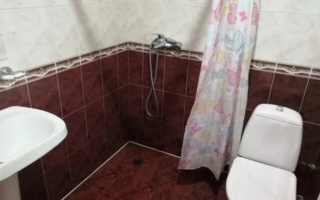 Отель Ателика Крокус