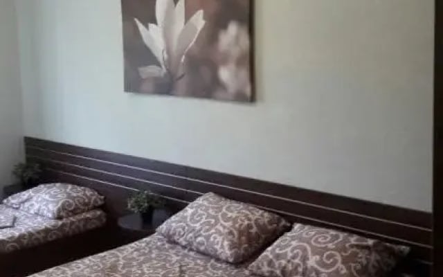 Guest House Olga
