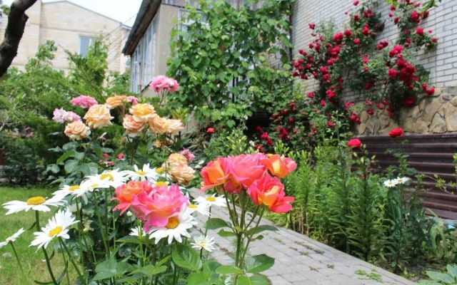 Nezabudka Guest House