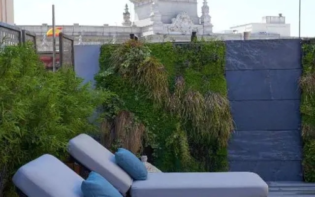 Отель The Hotel Regina