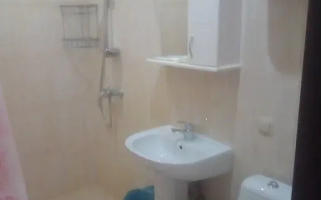 Guest House Irina